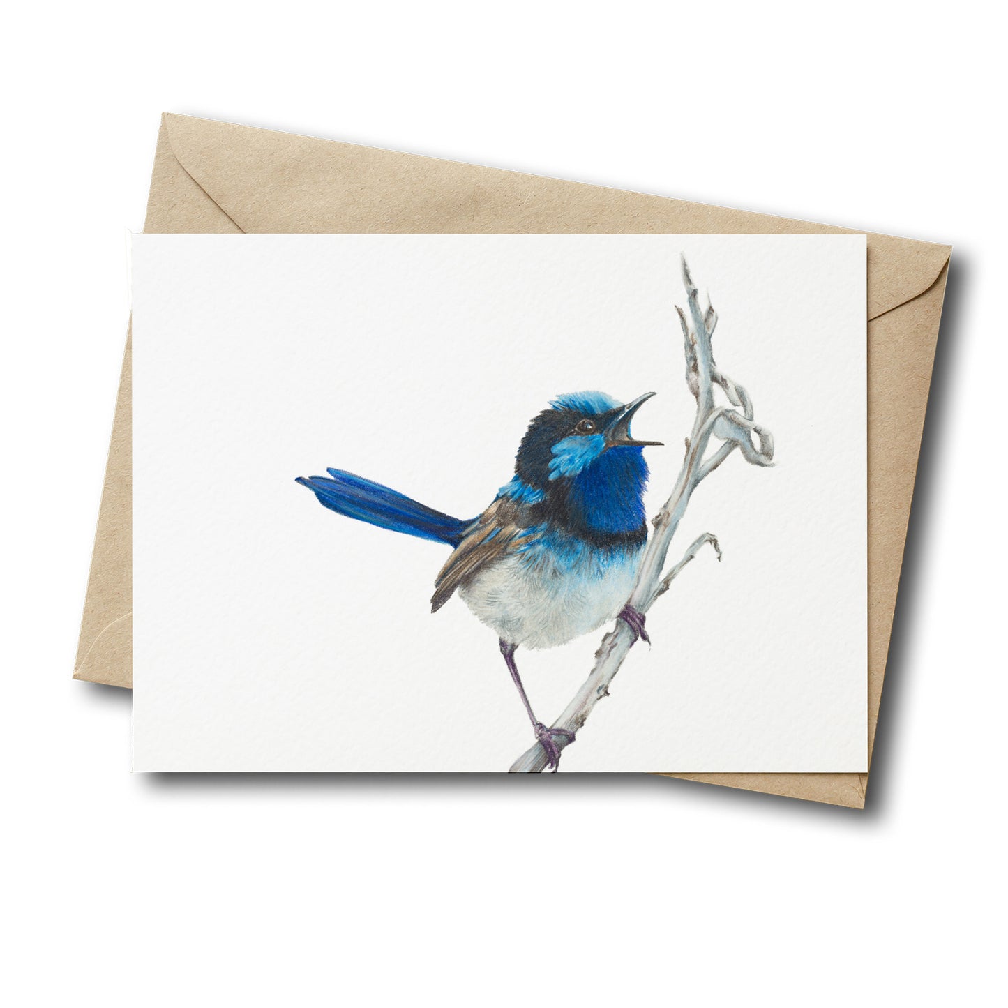 Blue Wren - Greeting Card