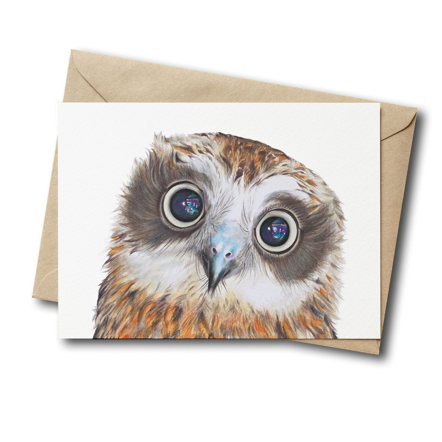 Boobook Owl Greeting Card