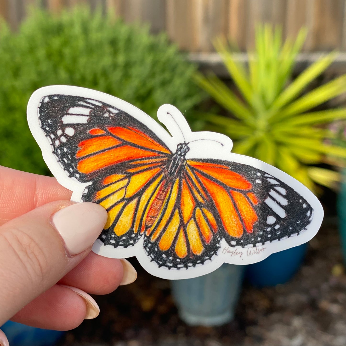 Monarch Butterfly - Sticker