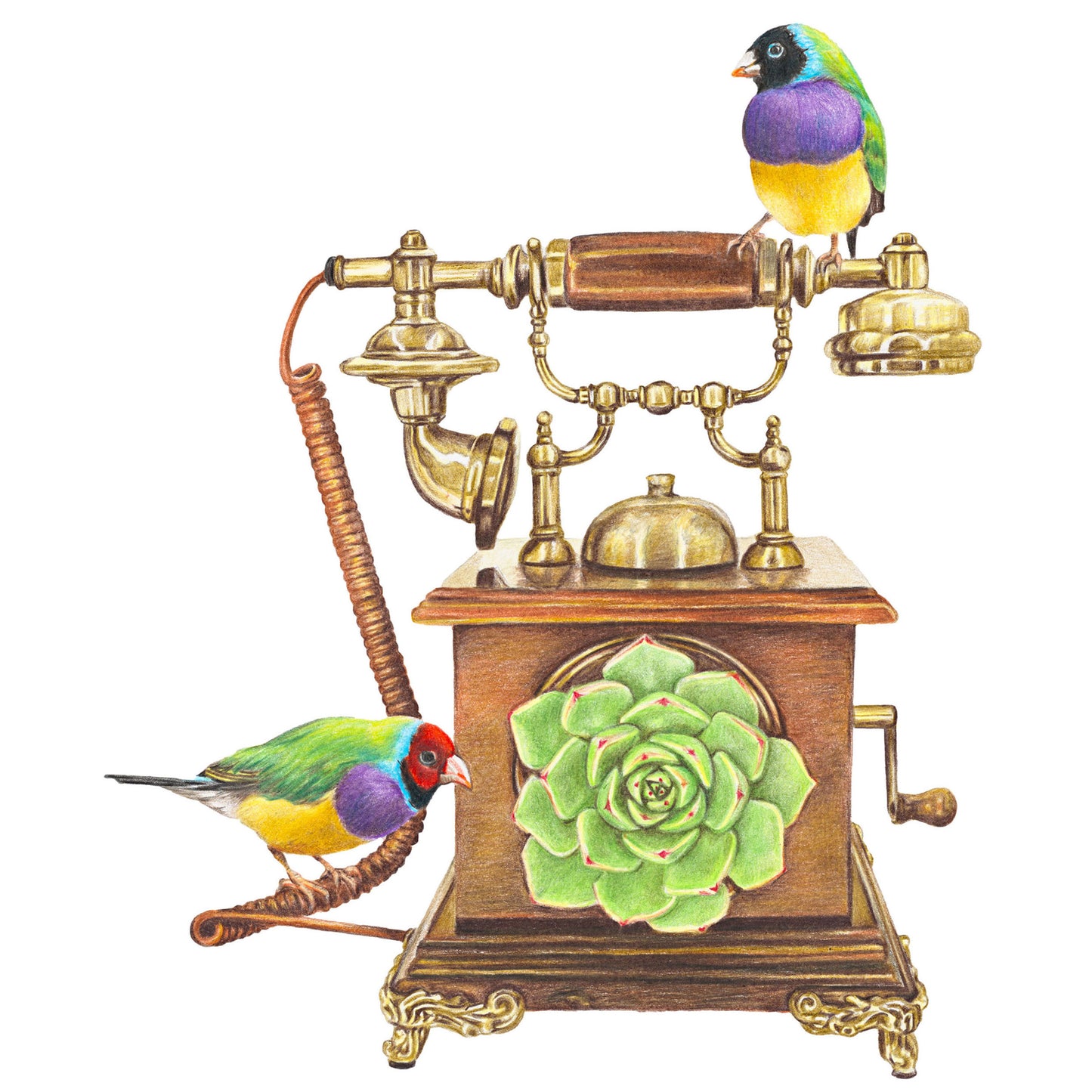 Curious Connections - Fine Art Print