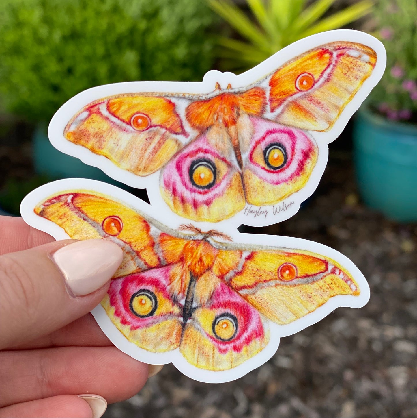 Emperor Moth - Sticker