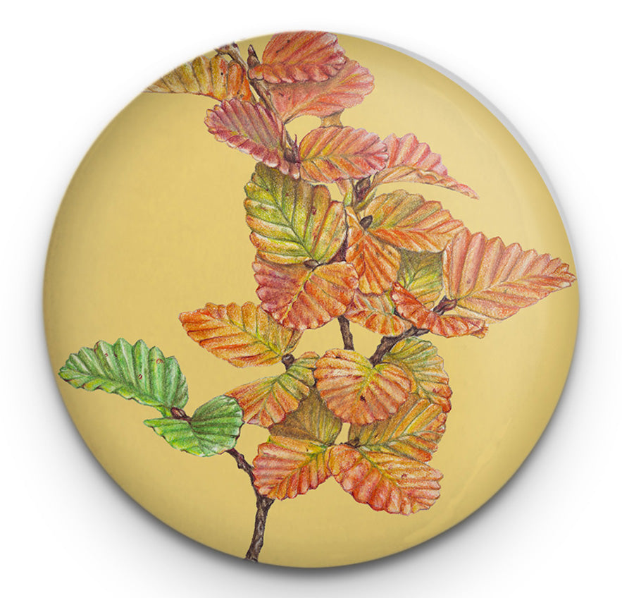 Nothefagus Magnet