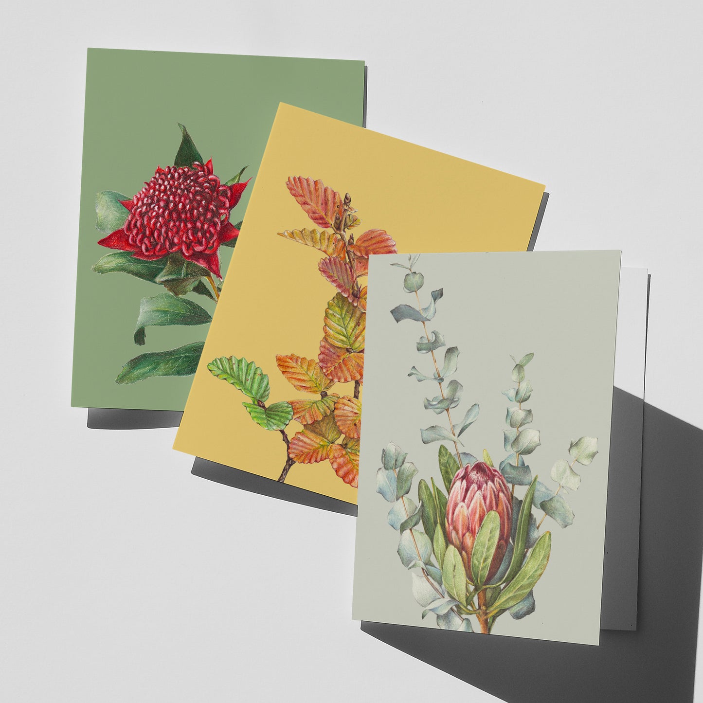 Floral Greeting Card bundle