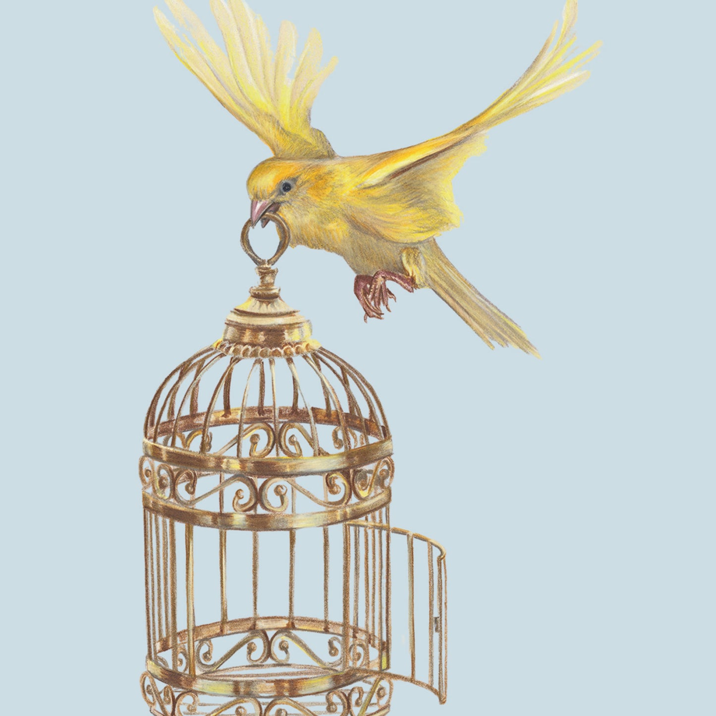 Flying Free - Fine Art Print