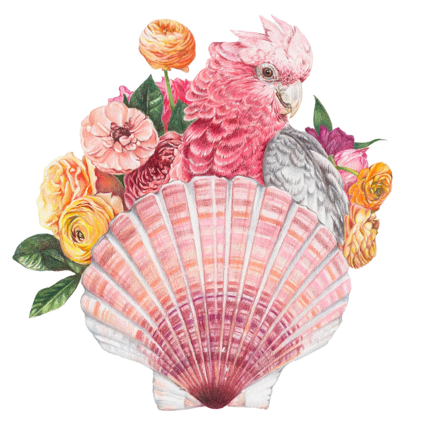 Galah Bouquet Fine Art Print