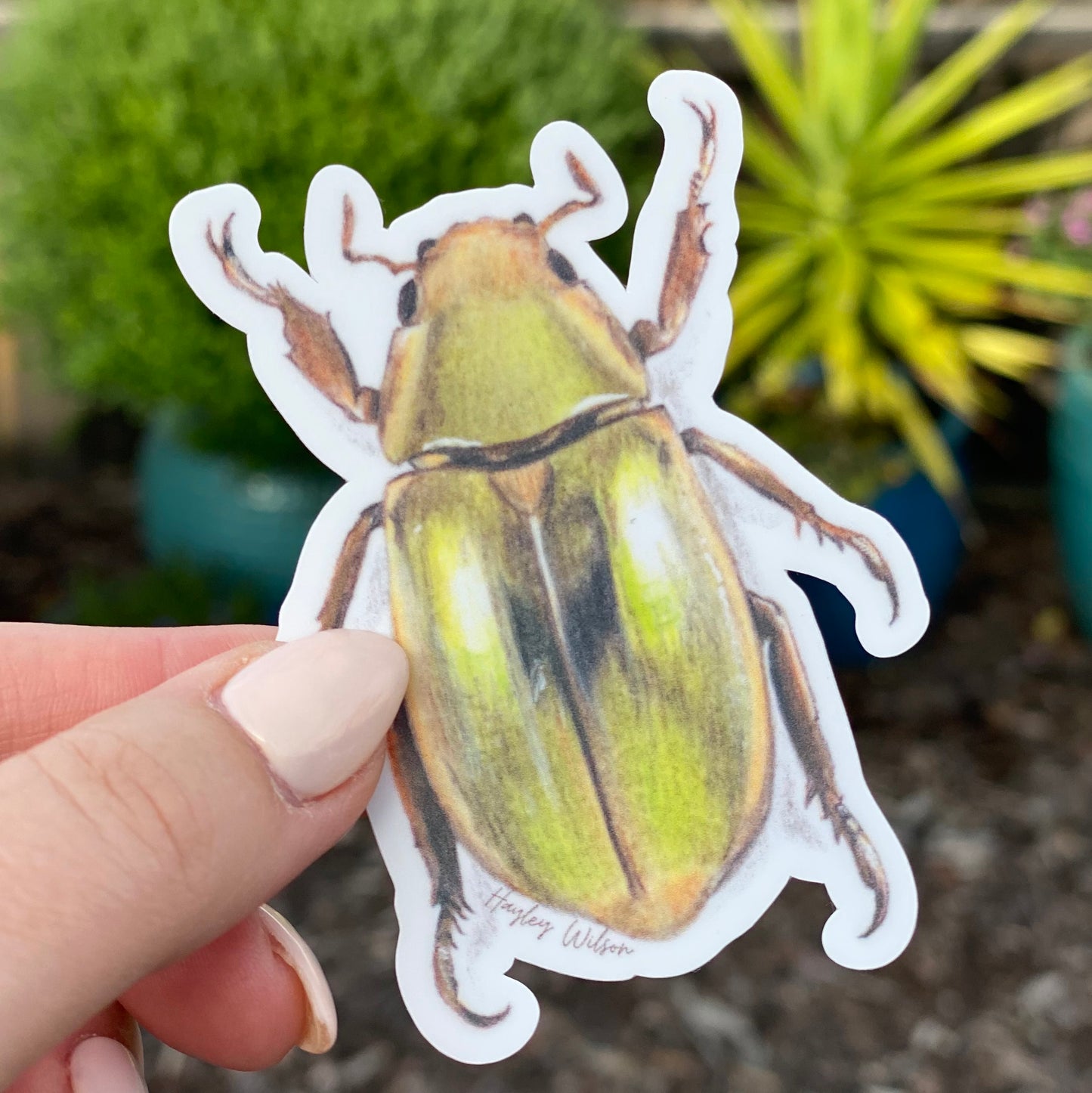 Golden Scarab Beetle - Sticker