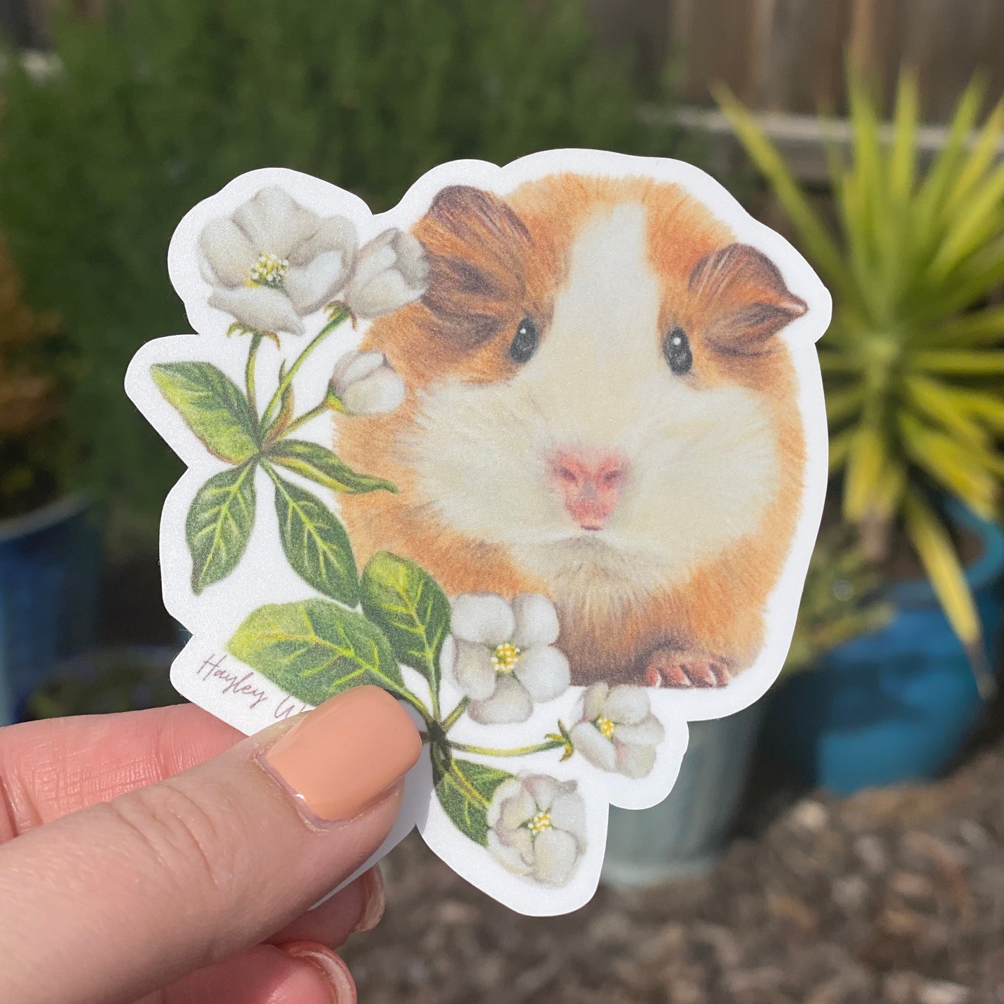 Hide and Seek - Sticker