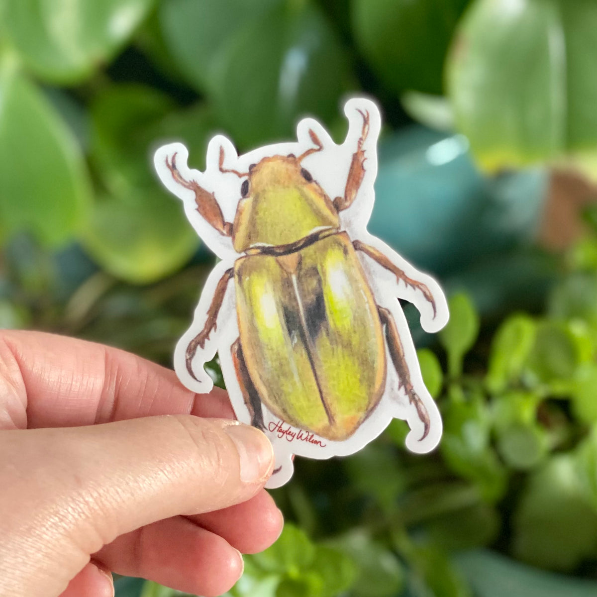 Golden Scarab Beetle - Sticker
