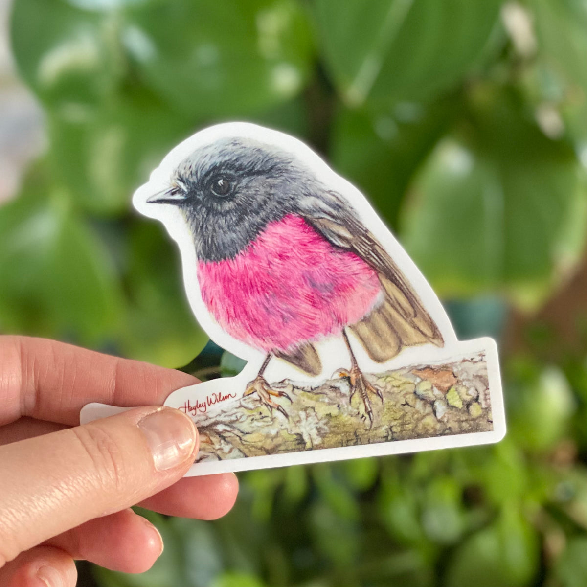 Pink Robin - Sticker