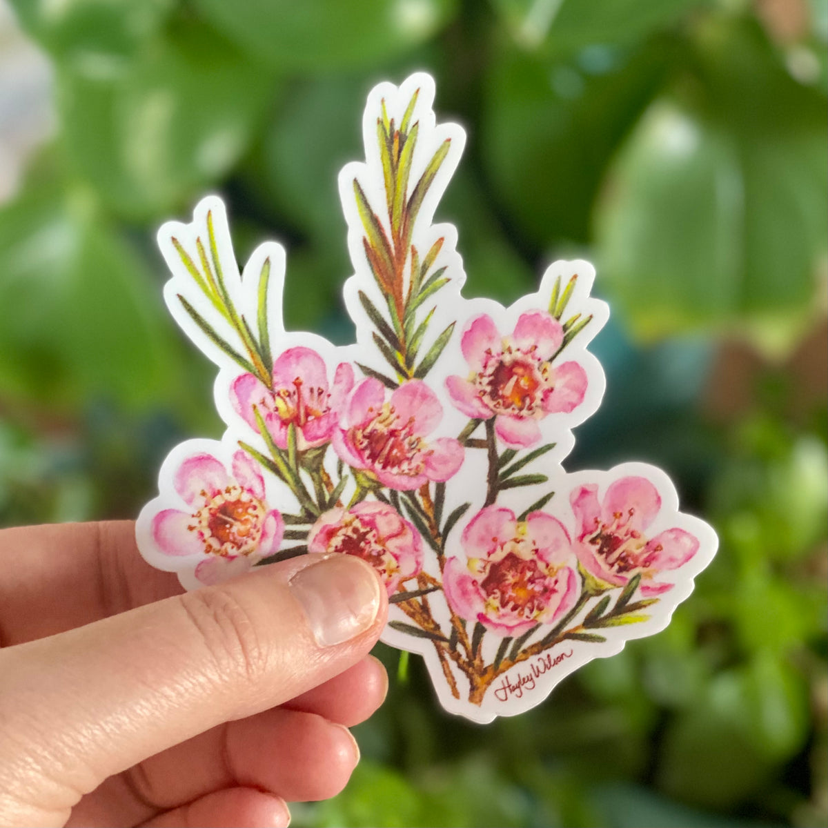 Wax Flowers - Sticker