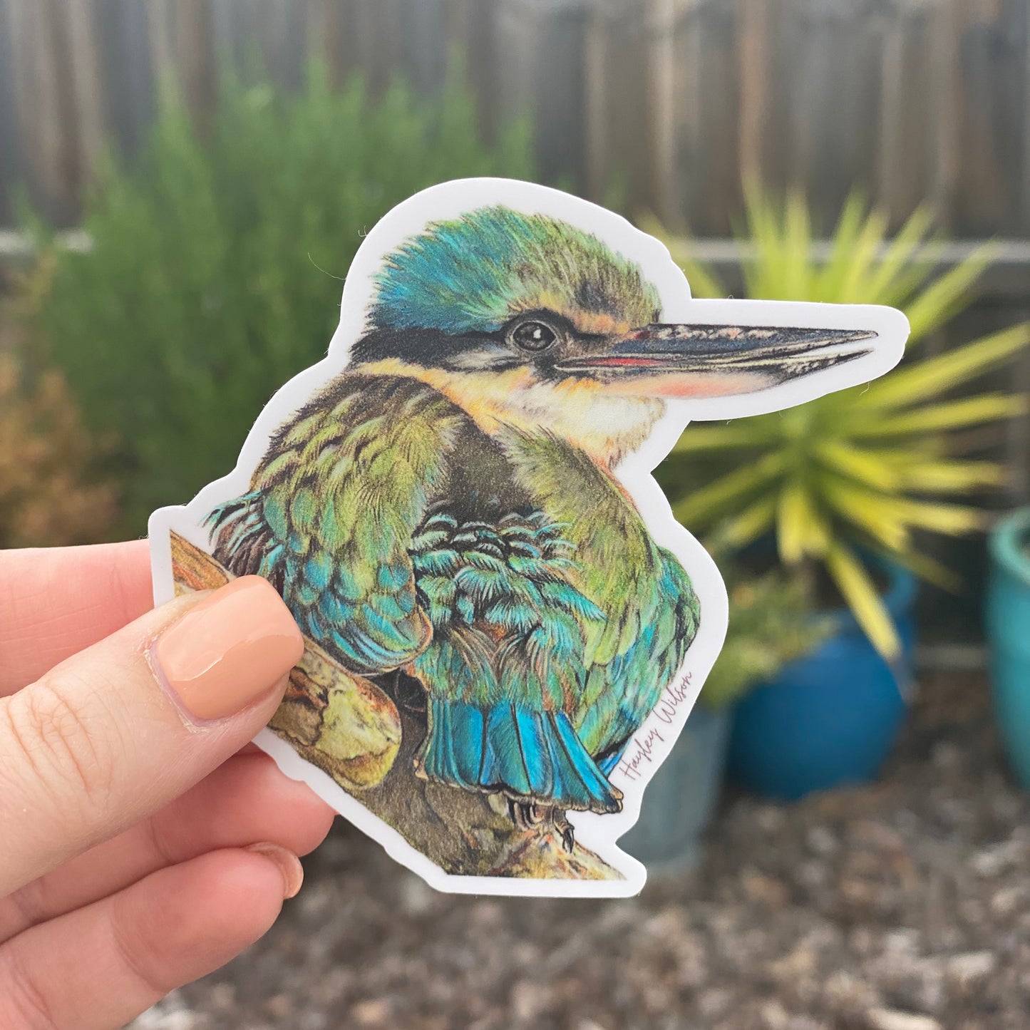 Kingfisher - Sticker