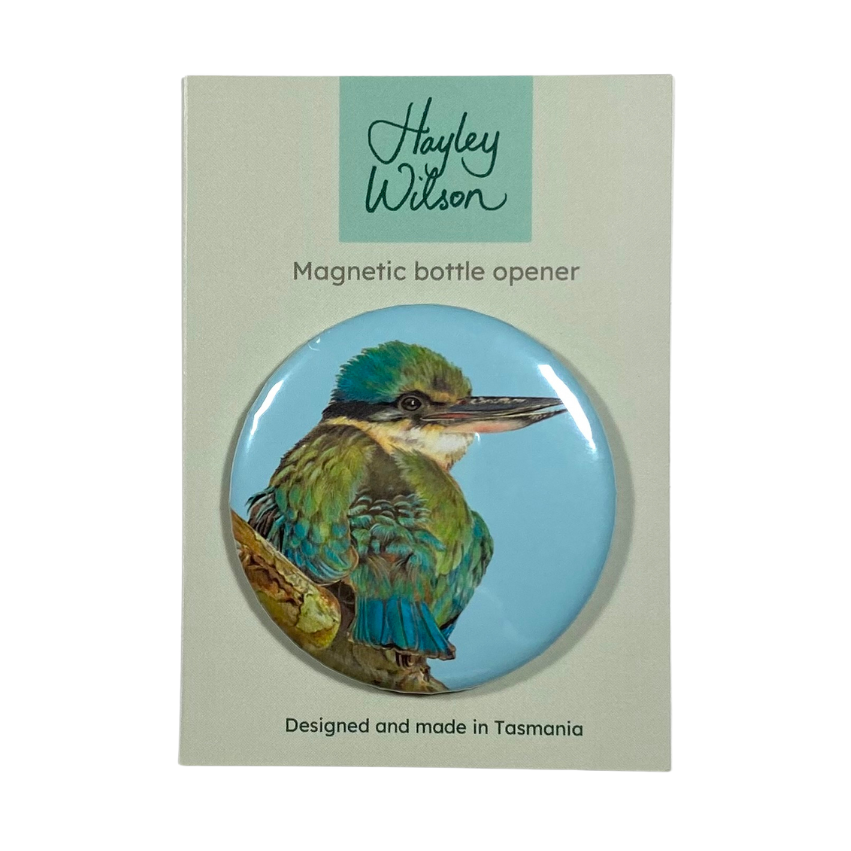 Kingfisher Magnet