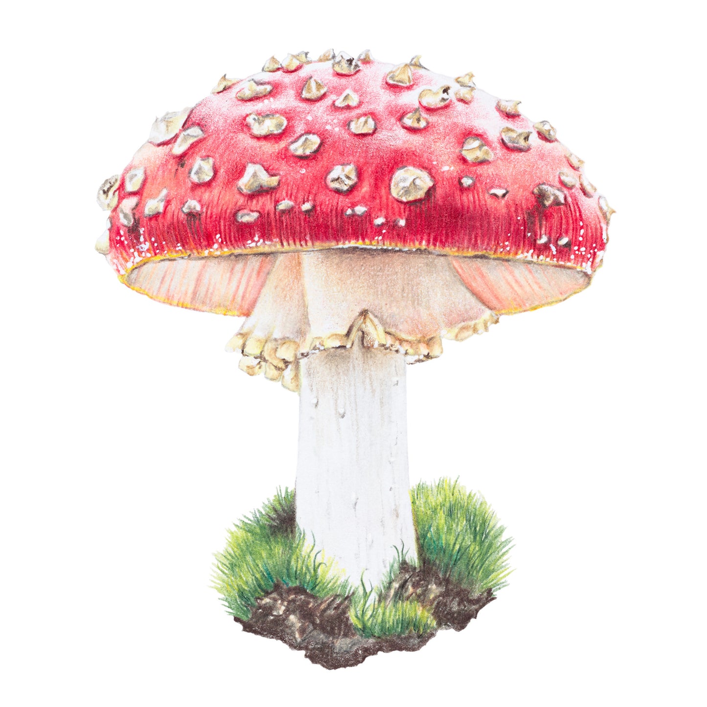 Magic Mushroom - Fine Art Print