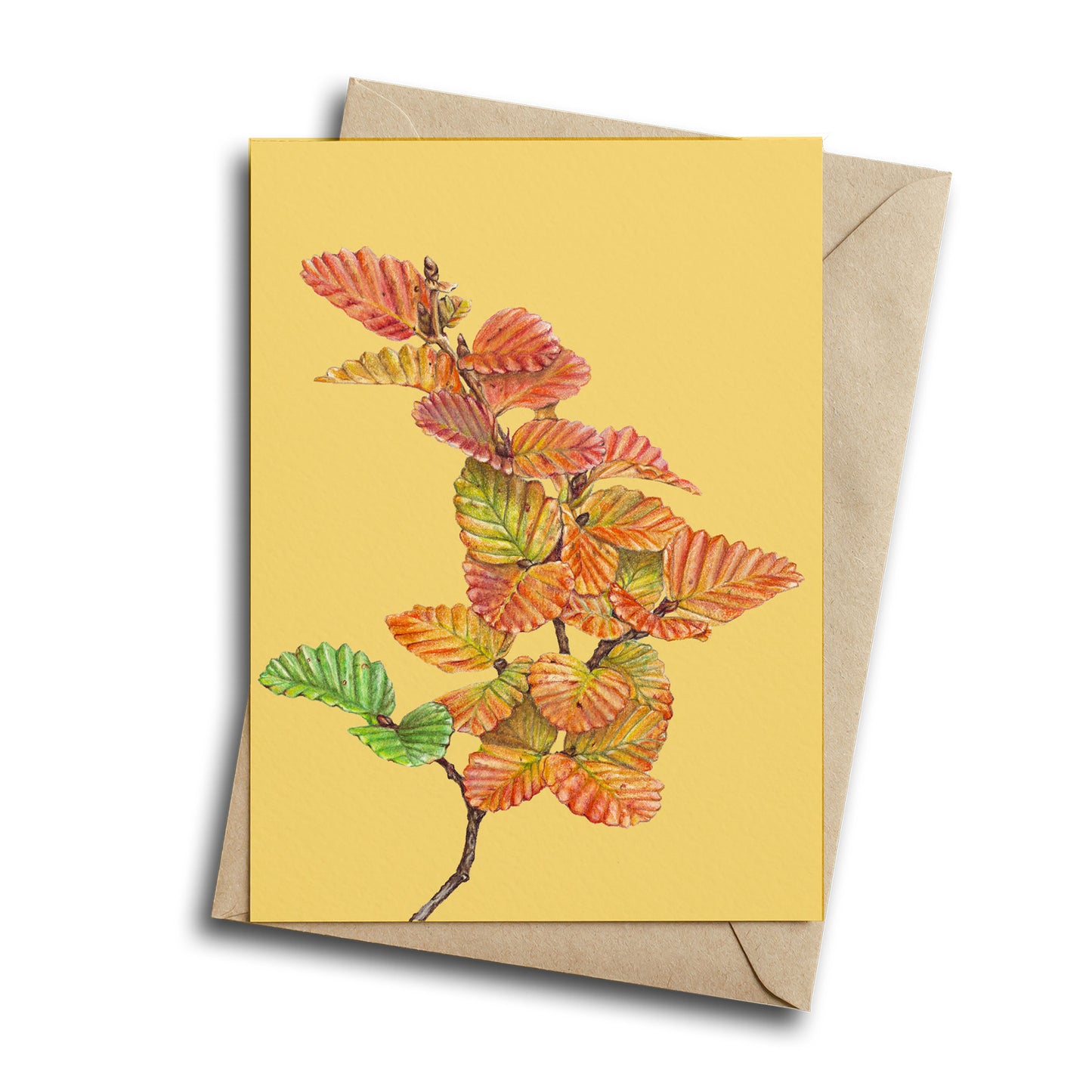 Floral Greeting Card bundle