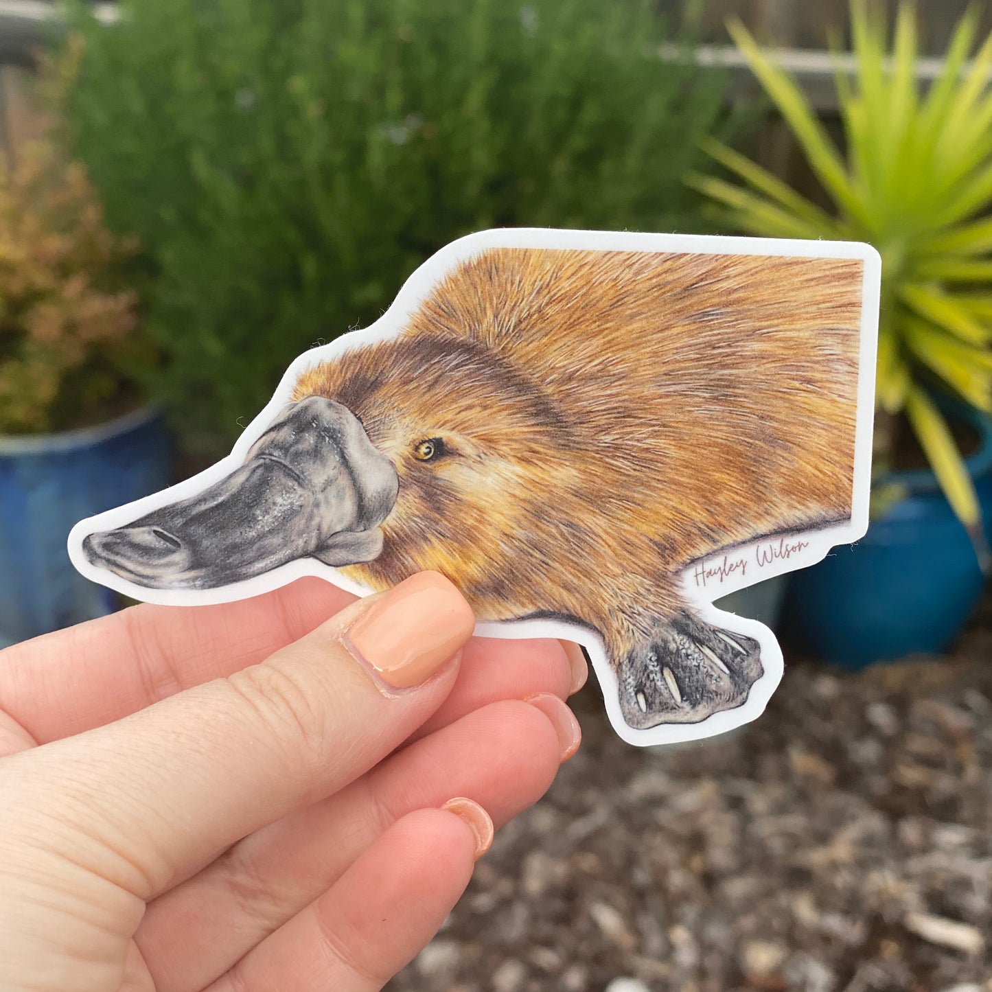 Platypus - Sticker