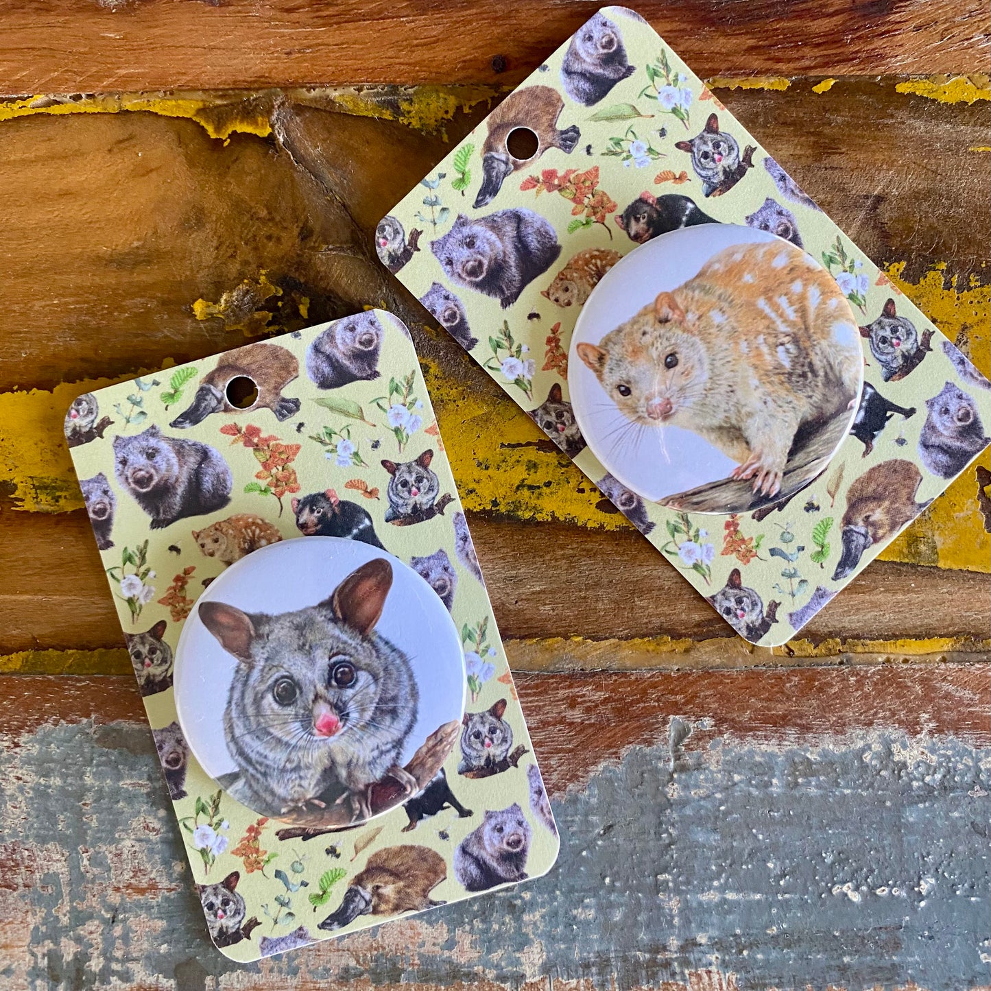 Spotted-tailed Quoll - Badge