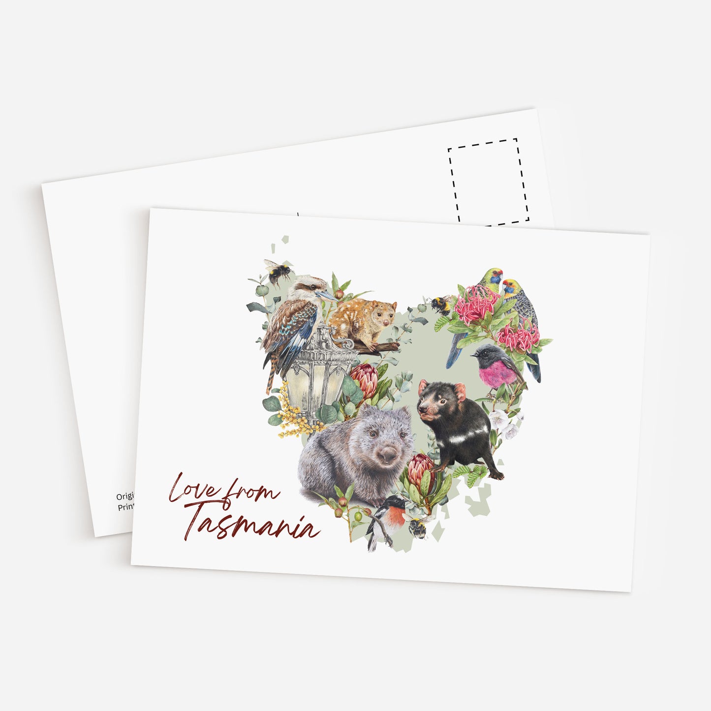 Love from Tasmania - Postcard