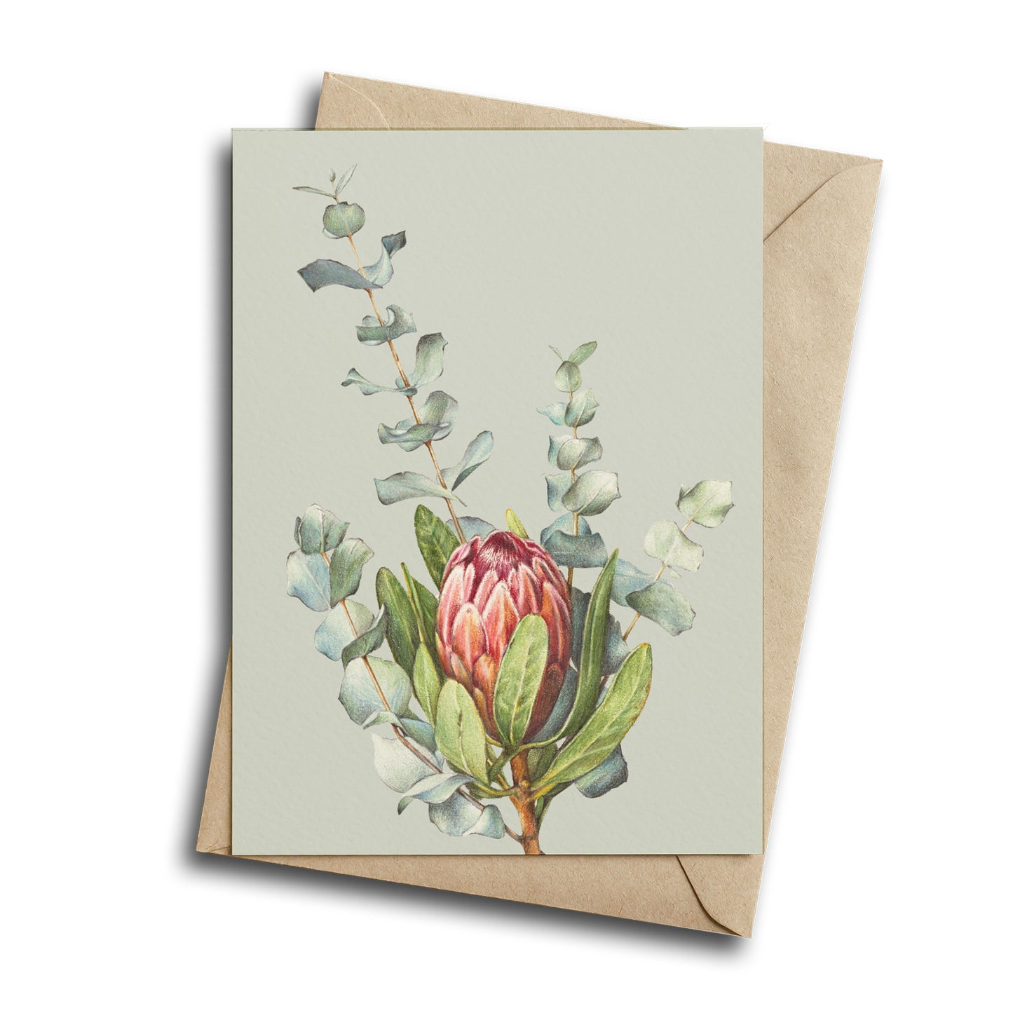 Floral Greeting Card bundle