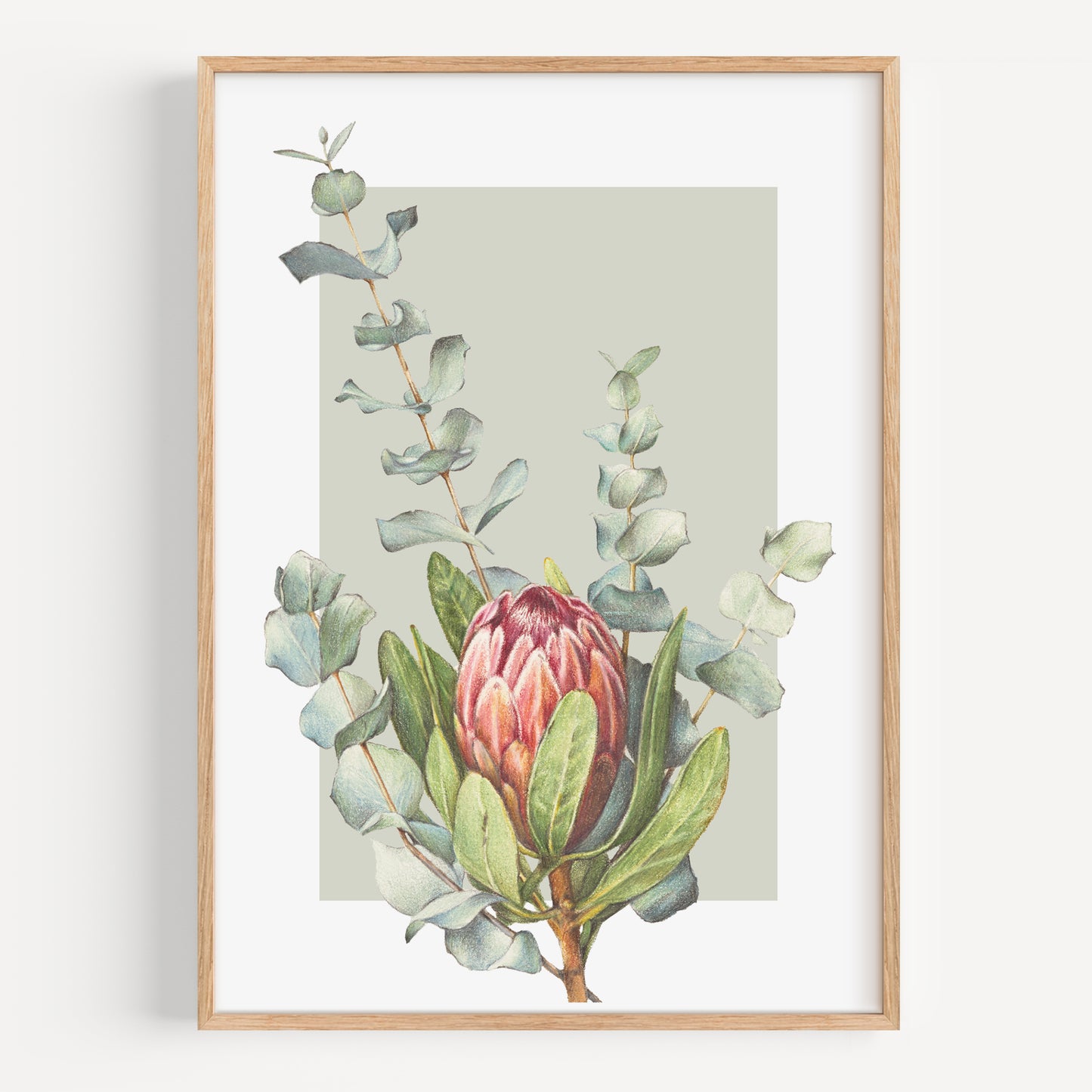 Protea/Eucalyptus green - Fine Art Print