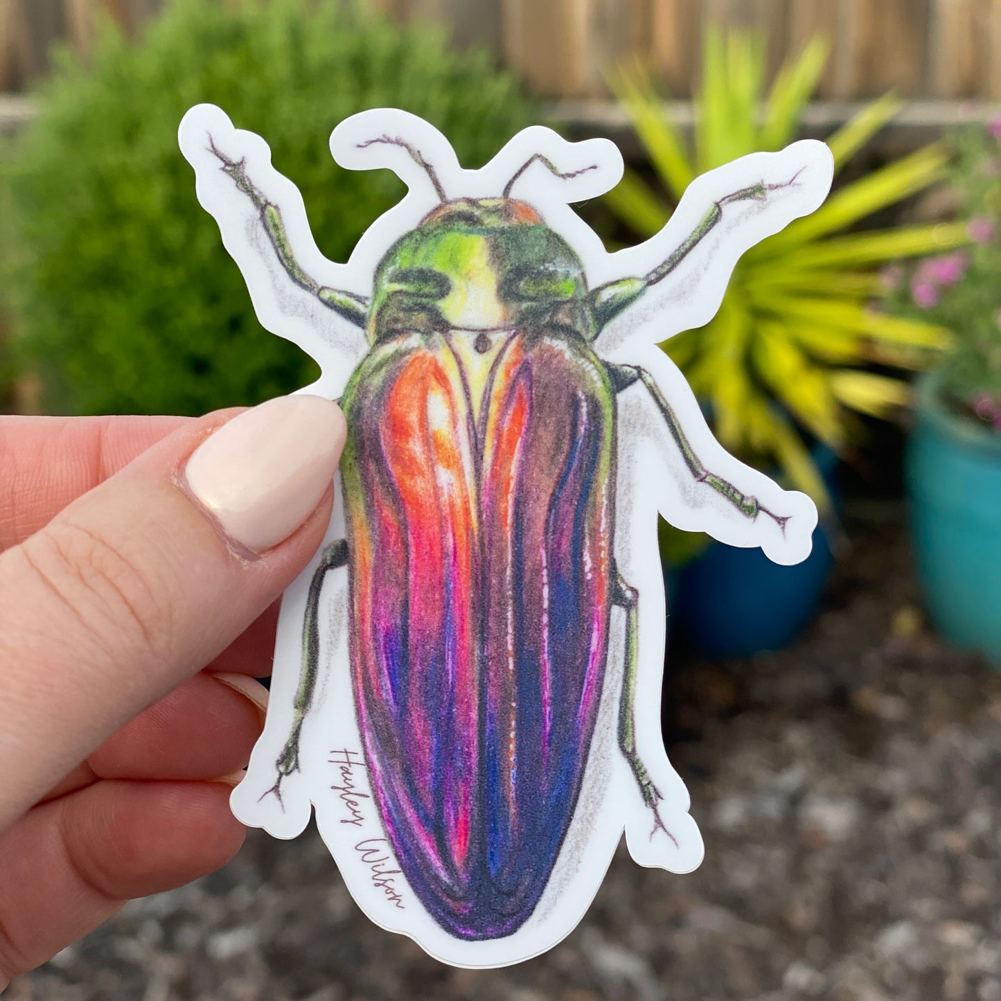 Rainbow Scarab Beetle - Sticker