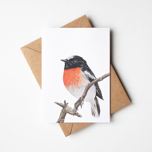 Scarlet Robin Greeting Card