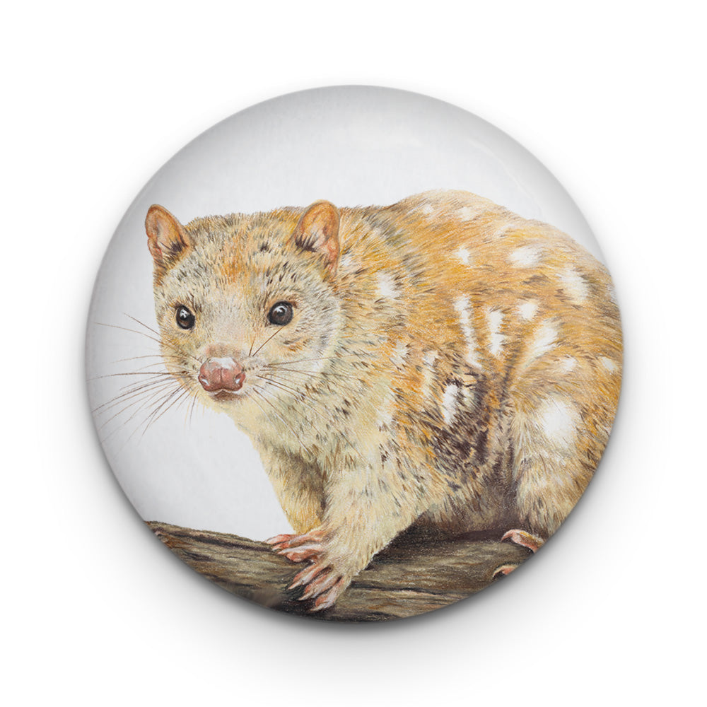 Spotted-tailed Quoll Badge