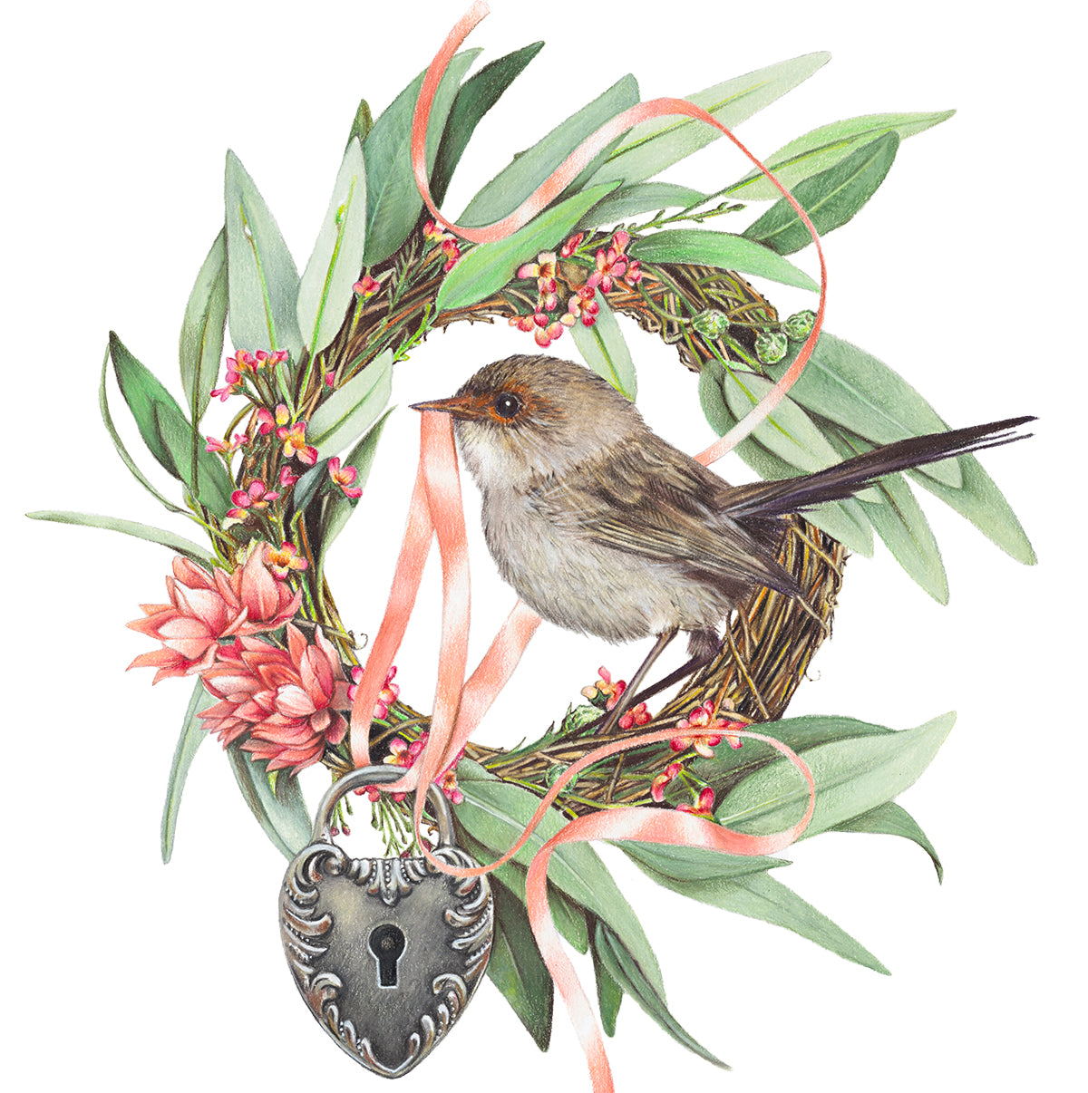 Superb Fairy Wren Fine Art Print