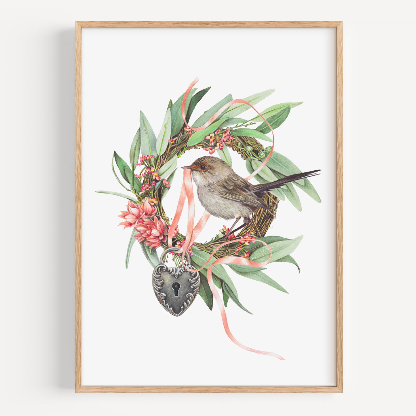 Superb Fairy Wren - Fine Art Print