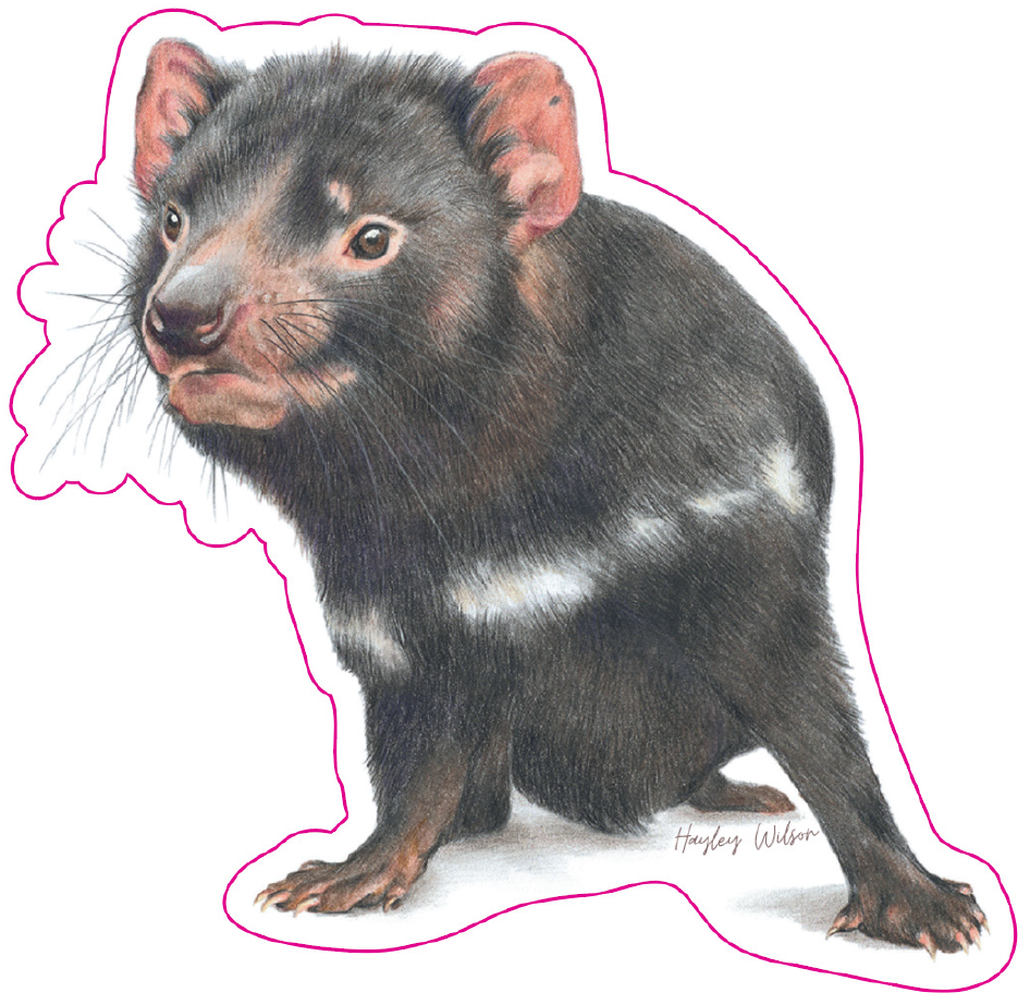 Tasmanian Devil Sticker