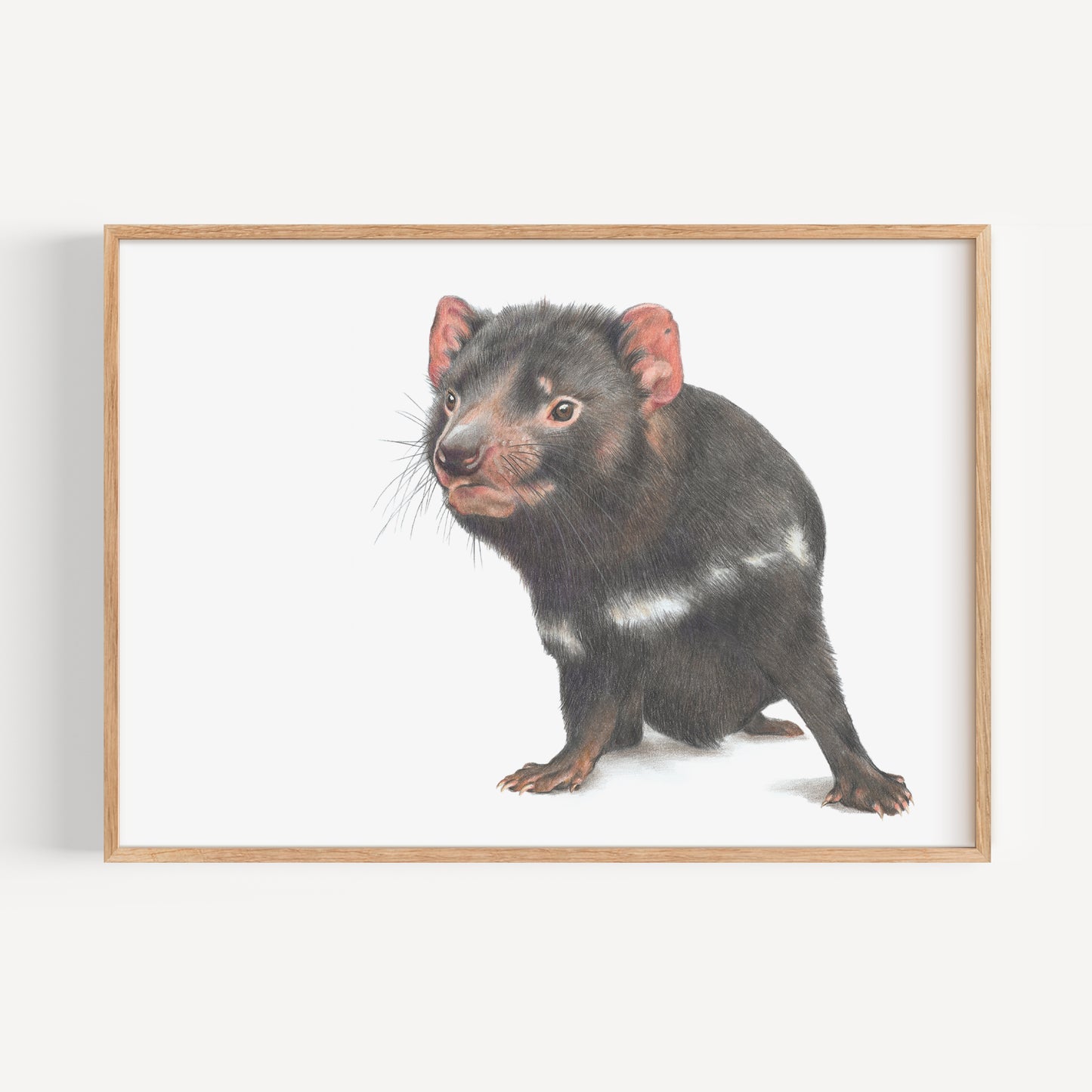 Tasmanian Devil Fine Art Print