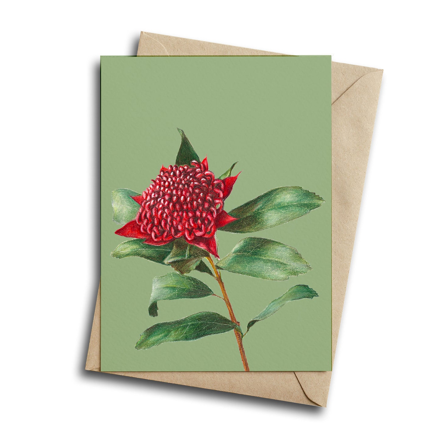 Floral Greeting Card bundle