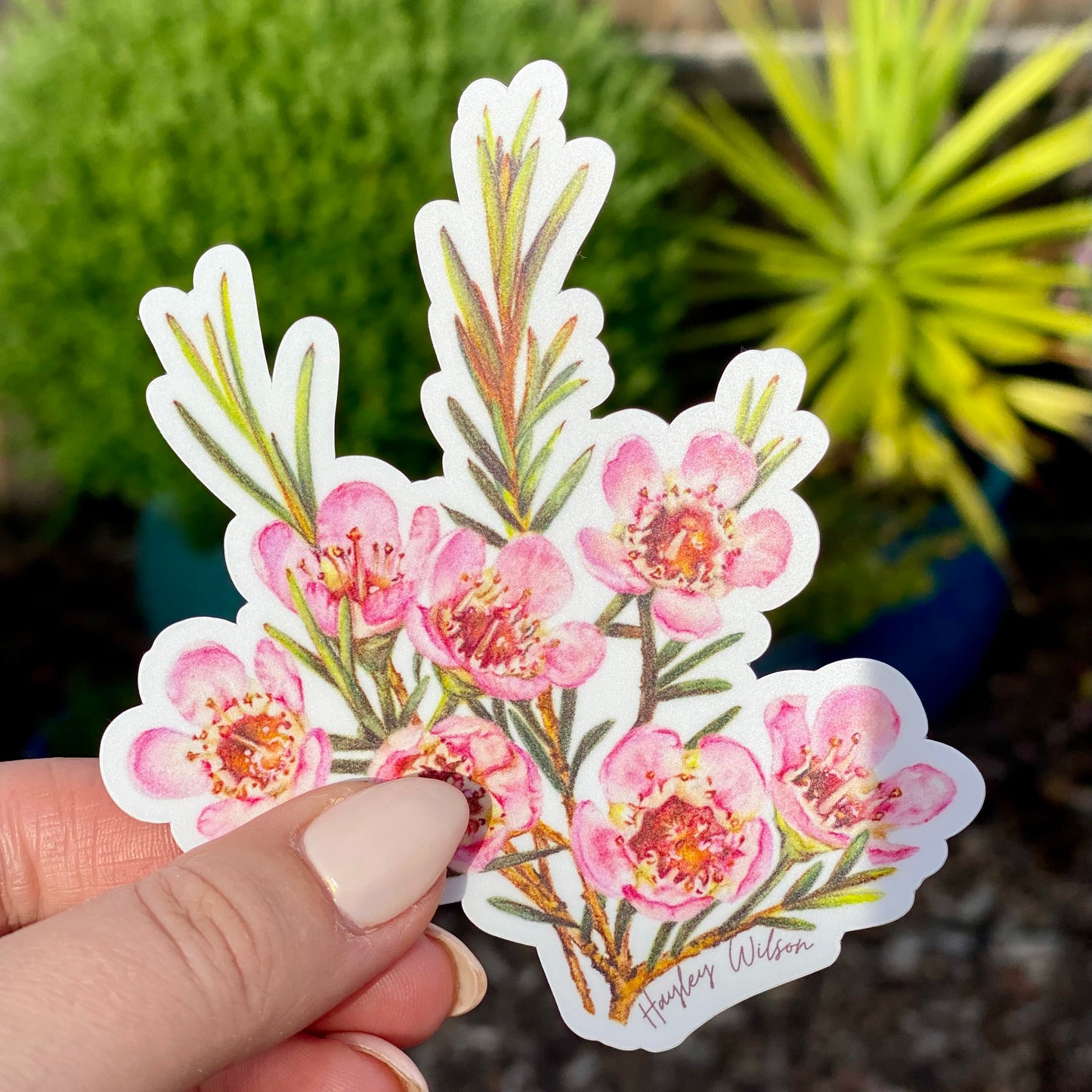 Wax Flowers - Sticker