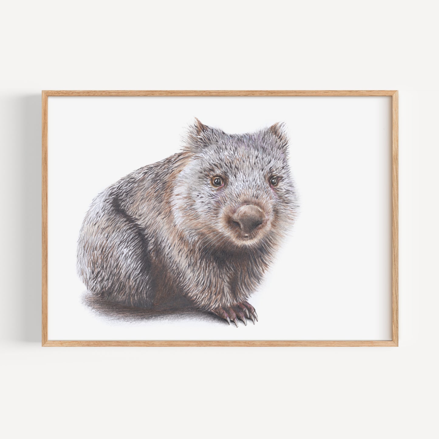 Wombat Fine Art Print
