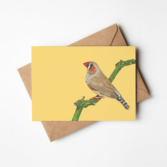 Zebra Finch/yellow Greeting Card