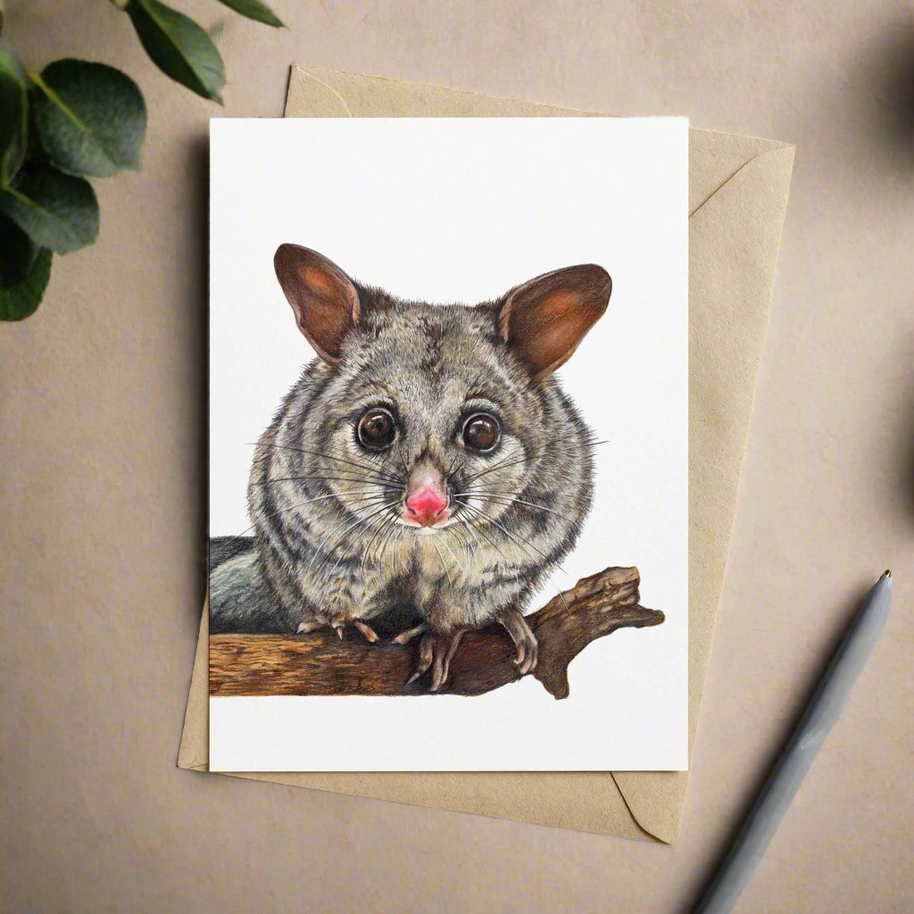 Wildlife Collection