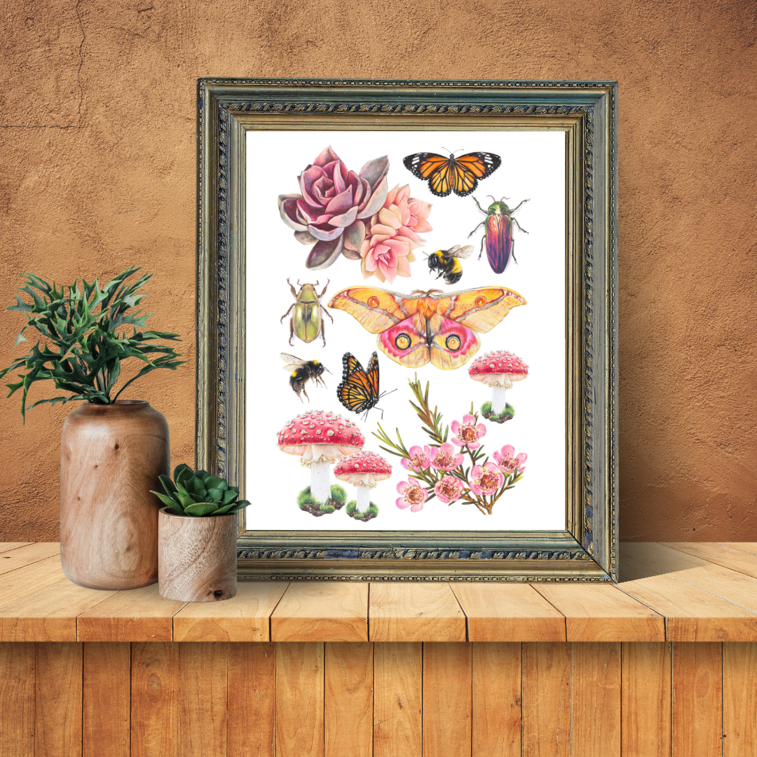 Fine Art Prints
