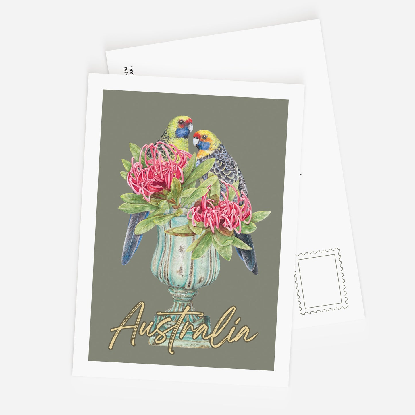 Green Rosella - Postcard