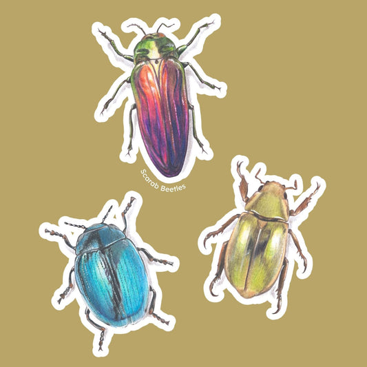 Scarab Beetles - Set of 3 stickers