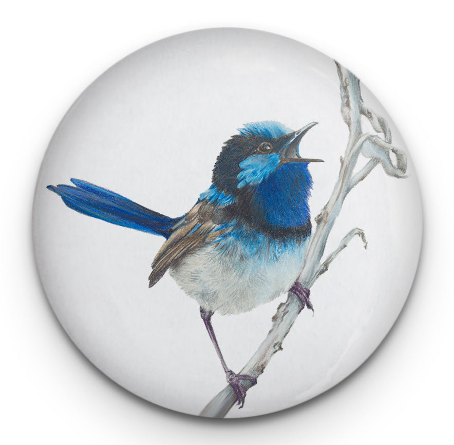 Blue Wren Magnet