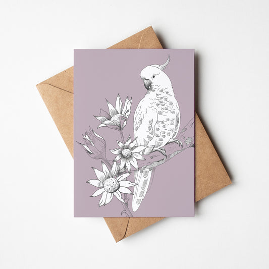 Cockatoo/Flannel Flower Greeting Card