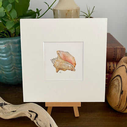 Original - Miniature Conch Shell