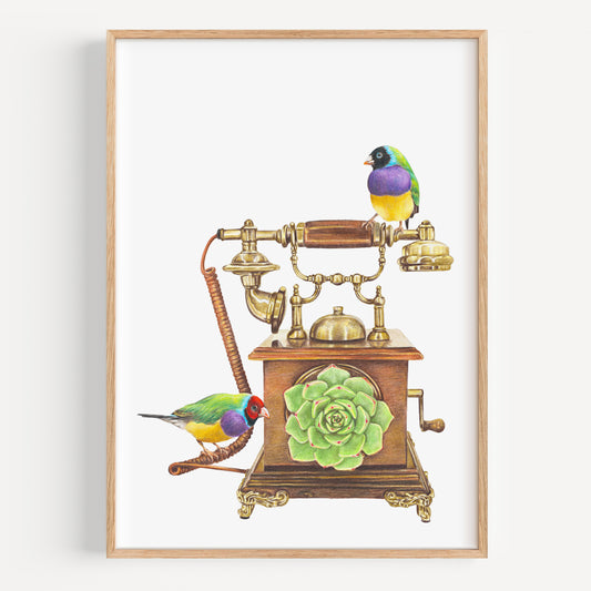 Curious Connections - Fine Art Print