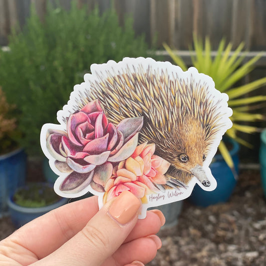 Short-beaked Echidna Sticker