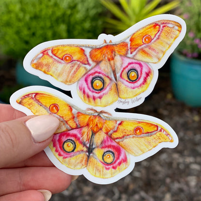 Emperor Moth - Sticker