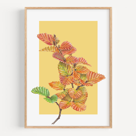 Nothefagus/yellow - Fine Art Print