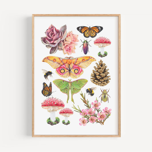 Find and Forage Fine Art Print