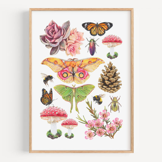 Find and Forage - Fine Art Print