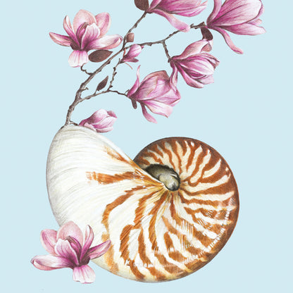 Flowering Nautilus/blue - Fine Art Print