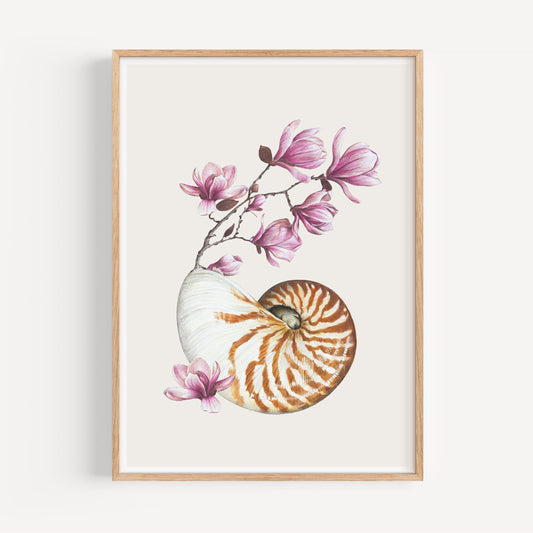 Flowering Nautilus/sand Fine Art Print