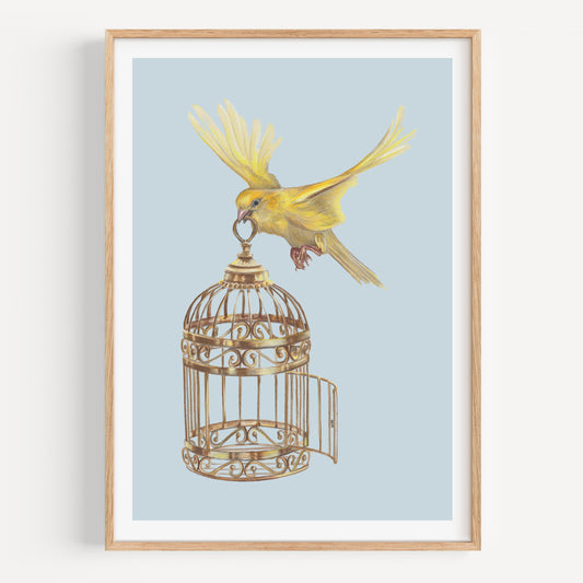 Flying Free - Fine Art Print
